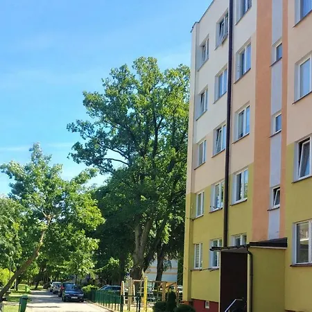 Apartmán Apartament Pod Brzozami